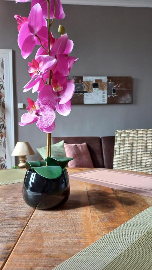 Studios Et Appartements En Centre Ville Boulogne Sur Mer Eksteriør bilde